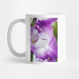 Gladiolus  'King's Lynn' Mug